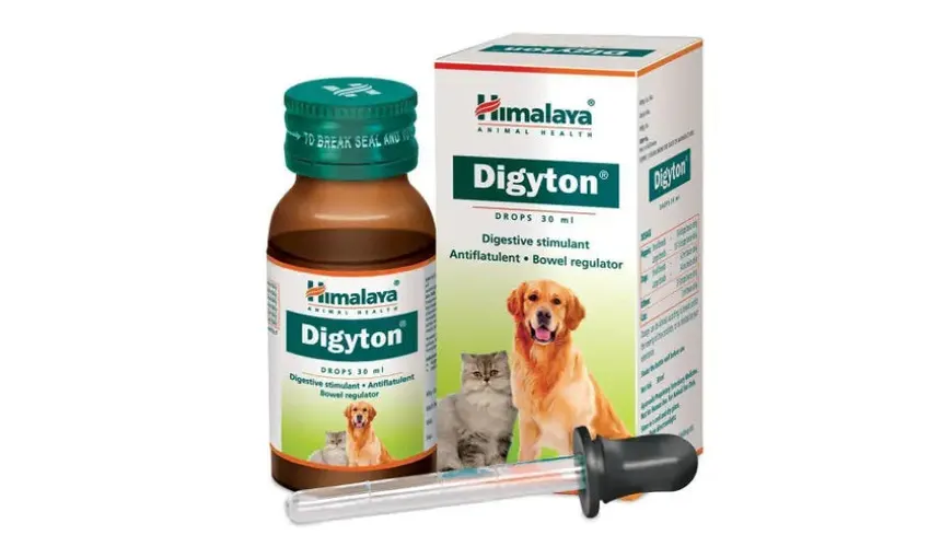 Himalaya Digyton drop supplement 30ml 