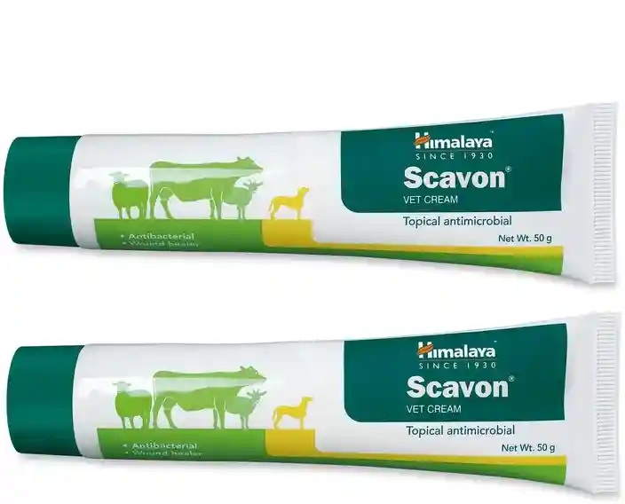 Himalaya scavon ointment cream 50g
